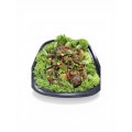 Chicken Mandy Rice Family Platters 15-18pax