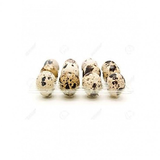 Telur Burung (Quail Eggs) 15pcs