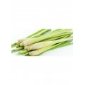 Serai (Lemon Grass) Est.100g