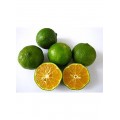 Limau Kasturi (Calamondin) Est.150g