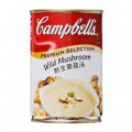 Campbells Wild Mushroom 300g
