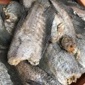 SuzyAmeer Ikan Sepat