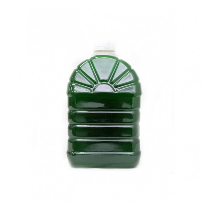 Asia Farm Honeydew Syrup 2L