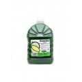 Asia Farm Honeydew Syrup 2L
