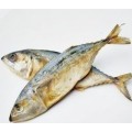 Ikan Asin Kembong 100g
