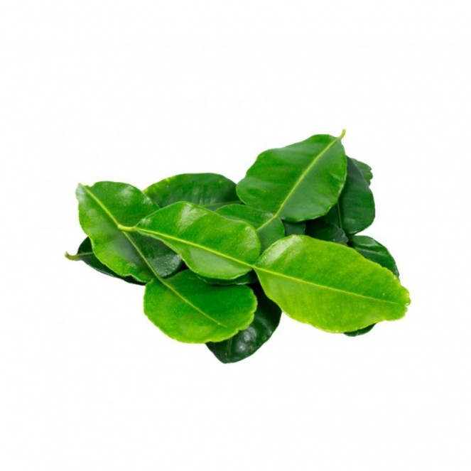 Daun Limau (Lime Leaves) Est.30g
