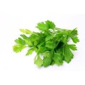 Daun Ketumbar (Coriander Leaves) Est.40g