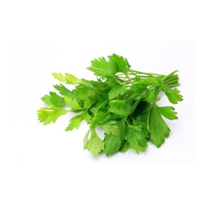 Daun Ketumbar (Coriander Leaves) Est.40g