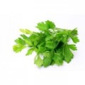 Daun Ketumbar (Coriander Leaves) Est.40g