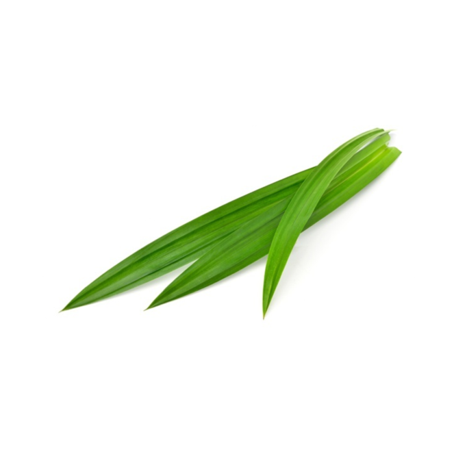 Daun Pandan (Pandan Leaves) Est.100g