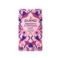 Pukka Elderberry & Echinacea Organic 40g