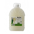Asia Farm Barley Syrup 2L