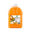 Asia Farm Orange Squash 2L