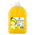 Asia Farm Lemon Squash 2L