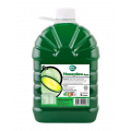 Asia Farm Honeydew Syrup 2L