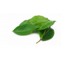 Daun Salam (Salam Leaves) Est.30g