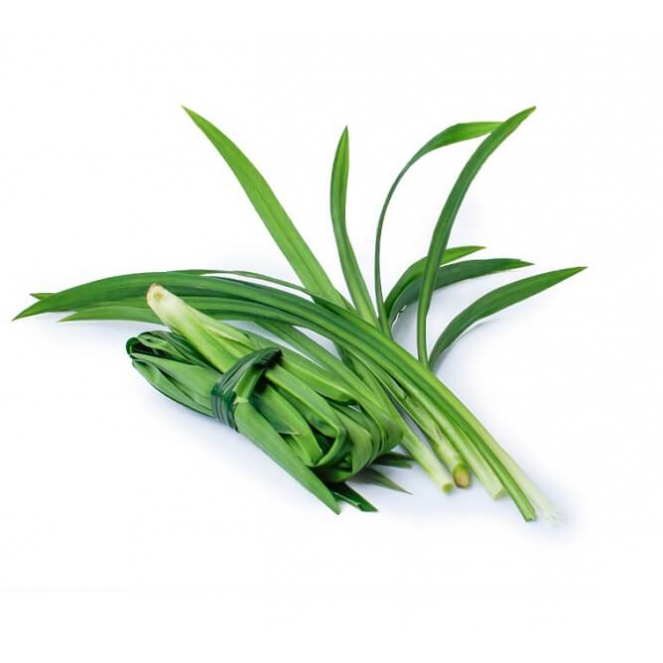 Daun Pandan (Pandan Leaves) Est.100g