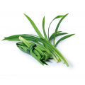 Daun Pandan (Pandan Leaves) Est.100g