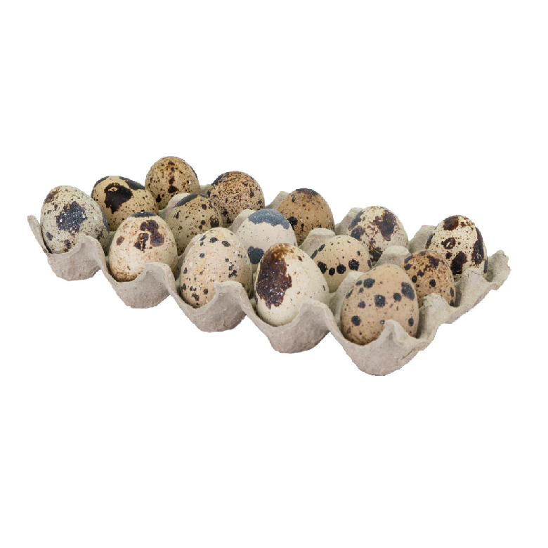 Telur Burung (Quail Eggs) 15pcs