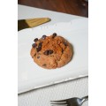 ADDIXTED NYC BISCOFF CINNAMON COOKIES 100G