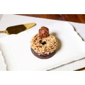 ADDIXTED BRODOUGH NUTELLA ROCHE PREMIUM 100G